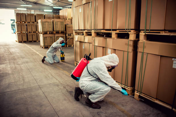 Best Termite Control Services  in Norwalk, IA