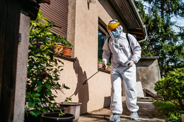 Best Termite Control Services  in Norwalk, IA