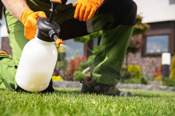 Best Local Pest Control Services  in Norwalk, IA