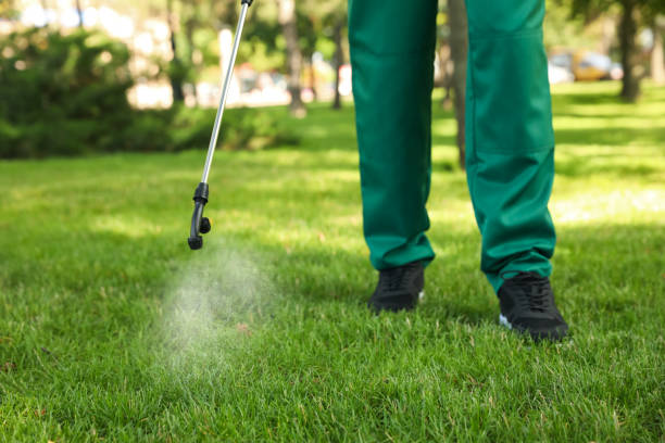 Best Insect Control  in Norwalk, IA