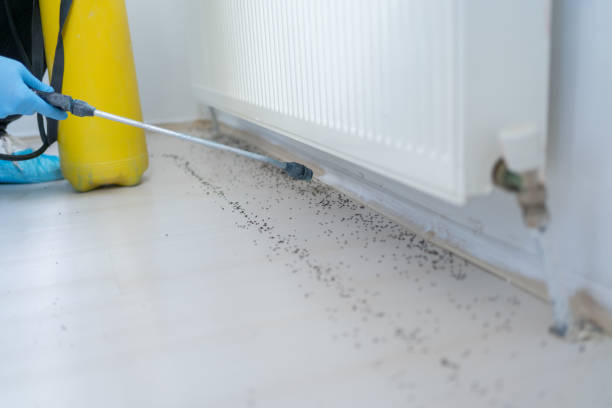 Best Pest Prevention Services  in Norwalk, IA