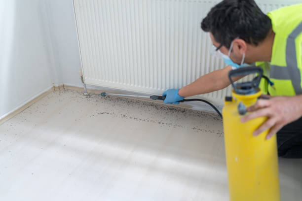 Best Best Pest Control Companies  in Norwalk, IA