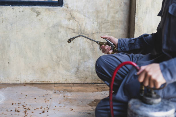 Best Exterminator Services  in Norwalk, IA